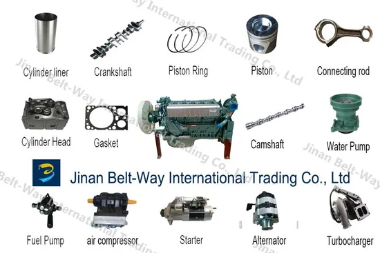 Shacman FAW HOWO Dongfeng Beiben Foton Truck Parts Gearbox Ass